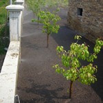  Sprey  Spring